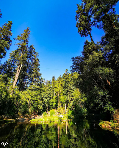 273793781 1104203817070047 2662795957219252106 n.jpg