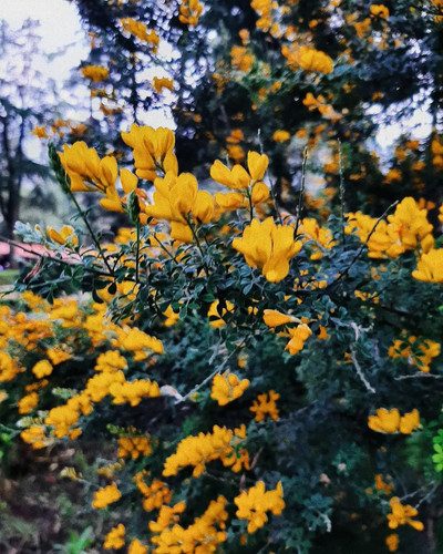 273907294 393779965920642 6222309118045918326 n.jpg