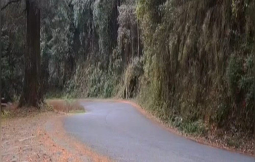 273780509 472163987946092 867625505556964854 n (2).jpg