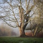 274739795 319784570174916 7502099942037545602 n.jpg