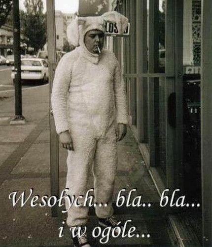 278429588 10209232359602565 42462567573723459 n.jpg