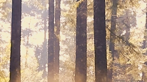 274048774 468410678075095 6994759708305901455 n (2).jpg