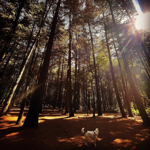 274333896 289498619948312 6430032567212151297 n.jpg