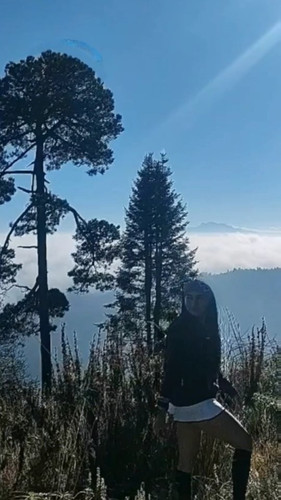 274034350 271279551806335 5629883707958201736 n.jpg