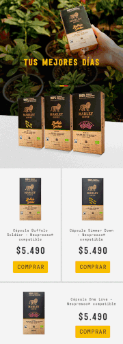 Mailing performance capsulas.gif