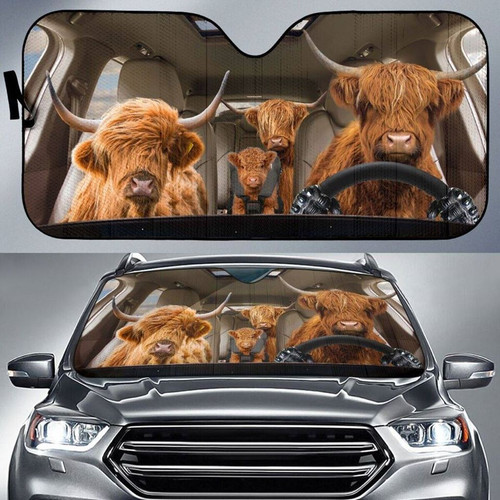 105884924 700903754037470 8907273461438891201 o.jpg