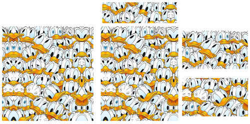 Hawaii Shirt Template 4.jpg