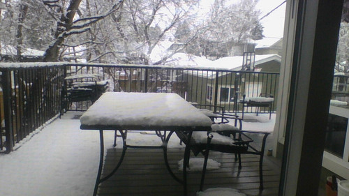 IMG 20220422 103810.jpg