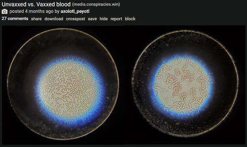 opera QC1Rw5tq9G.png