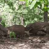 gifit 1650337012348.gif