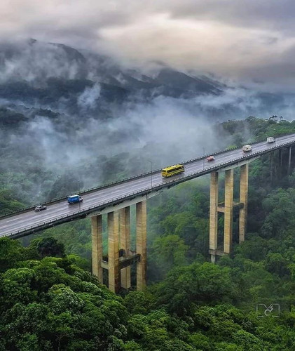 278172567 405379284258389 1866292945100536591 n.jpg