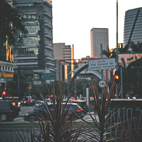 15046827 1728695680782406 5501798839264215040 n.jpg