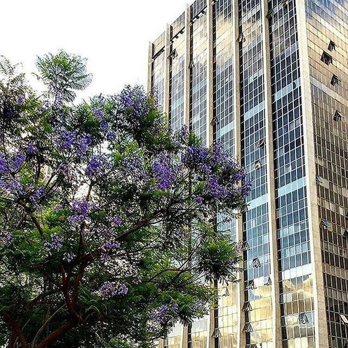 15034640 340048093037047 5180716928280297472 n.jpg