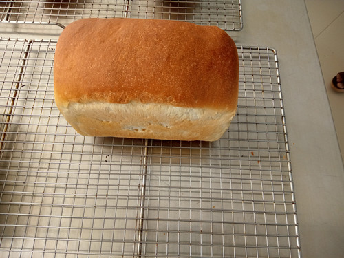 IMG 20220426 153158 825.jpg