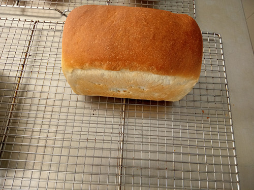 IMG 20220426 153201 618.jpg