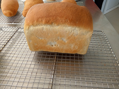 IMG 20220426 153205 096.jpg