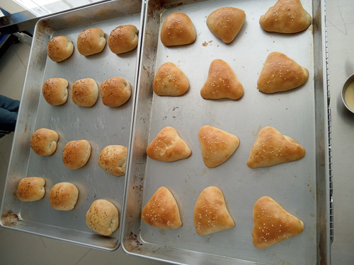 IMG 20220426 145556 654.jpg