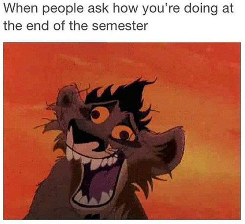 lionking.jpg