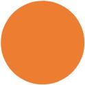 orange circle.jpg