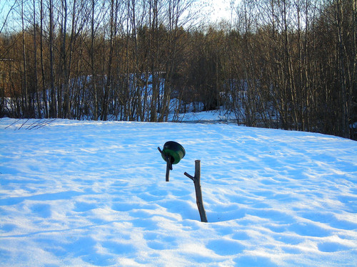 весна #1 (Foto_5_24_04_2022).jpg
