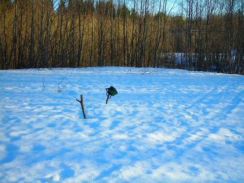 весна #2 (Foto_6_24_04_2022).jpg