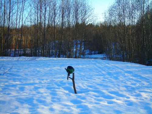 весна (Foto_4_24_04_2022).jpg