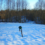 весна (Foto_4_24_04_2022)
