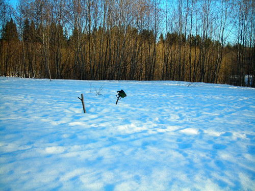 весна #3 (Foto_7_24_04_2022).jpg