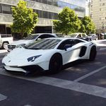 273788029 630807141322553 6635443590216794726 n.jpg