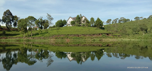 IMG 20201029 074927.jpg