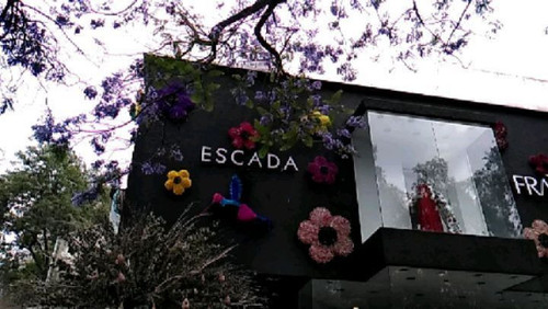 58409883 398348124340434 6463748032986639405 n.jpg