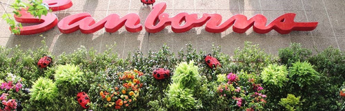 56757821 307311199936740 9209777136911050232 n.jpg