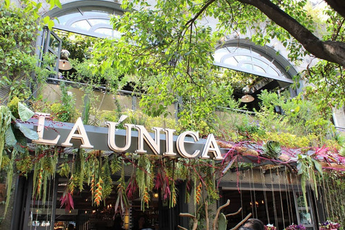 56749583 1486073711526995 7601788040791827375 n.jpg