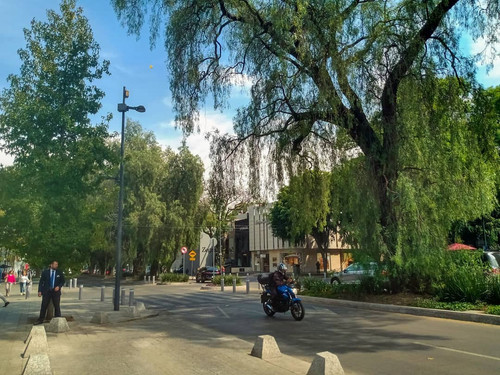 100376935 243736223603215 3943124104051734007 n.jpg