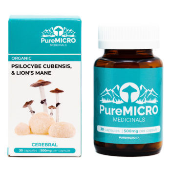 Magic Mushroom Capsules Online.jpg