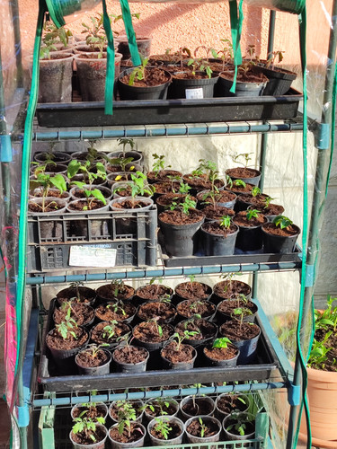 IMG 20220413 174830.jpg