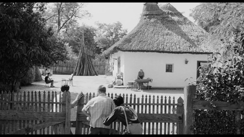 a53acaa3 35f7 42c8 ba15 f95746e22e8f.jpg