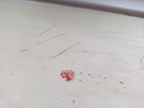 IMG 20220506 154809 0.jpg