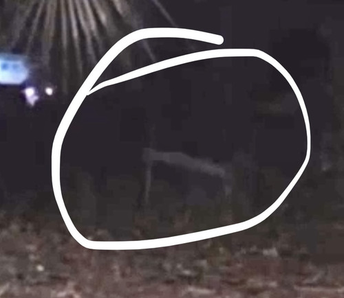 C95454DE F25A 42BB A8B3 3E451EDB1F4F.jpg