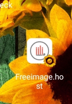 Screenshot 20220506 182315 One UI Home.jpg