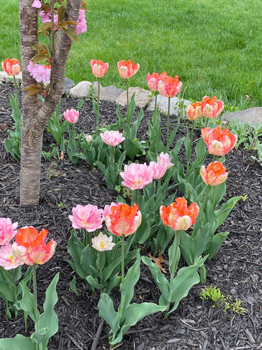 IMG 20220506 WA0004.jpg