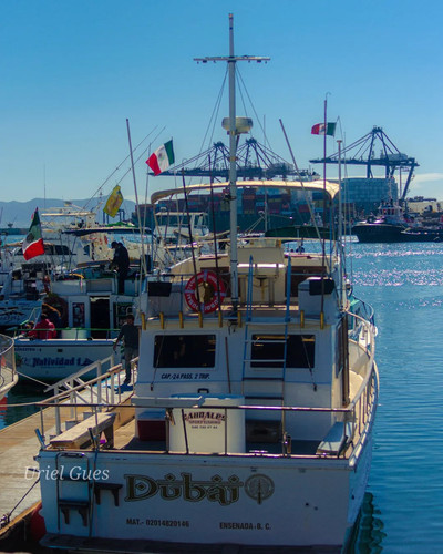 277470414 116402867520174 7867812166613054704 n.jpg