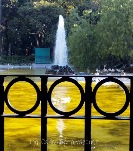 277290898 1079892632555433 1593827967214154064 n.jpg