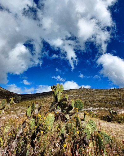 277321692 370126898317646 6242430376059520629 n.jpg