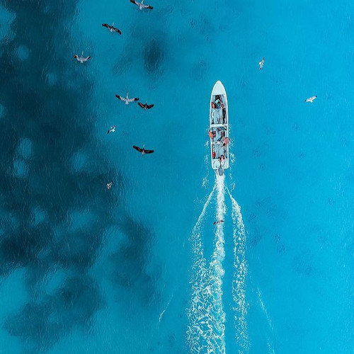 167687211 481044849702250 3877808854572973899 n.jpg