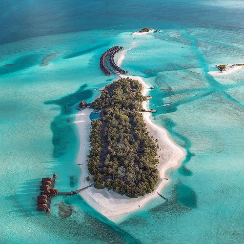 218228887 4179671685441831 8597425662876422500 n.jpg