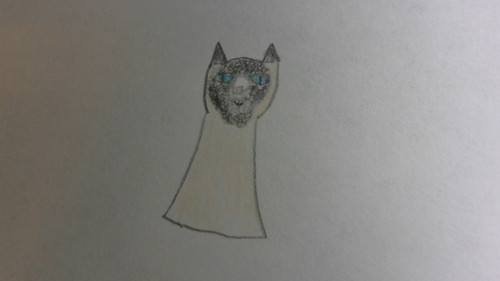 WIN 20220515 10 40 16 Pro.jpg