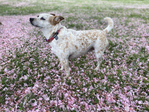 0E058789 24B1 4CEB 8208 89618CE4AA7D.jpg