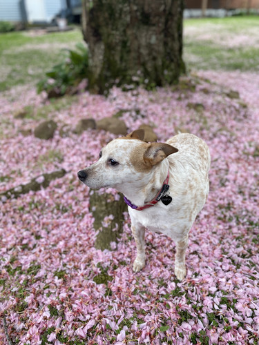 A065EA5C 92C9 40AE 880C 95C70C7DD8D6.jpg