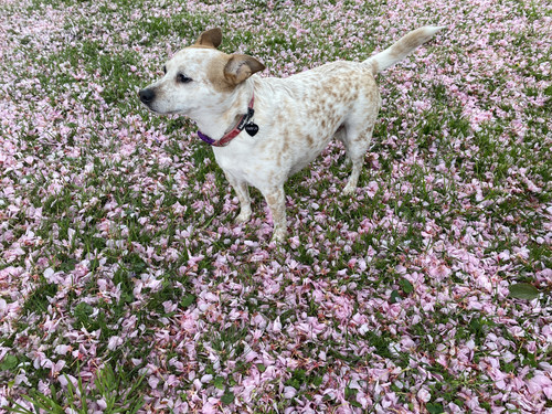 7EED6EF6 FE31 42C2 9998 085DCCA2DD91.jpg